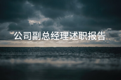 公司副总经理述职报告