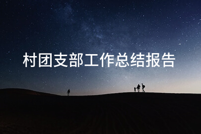 村团支部工作总结报告