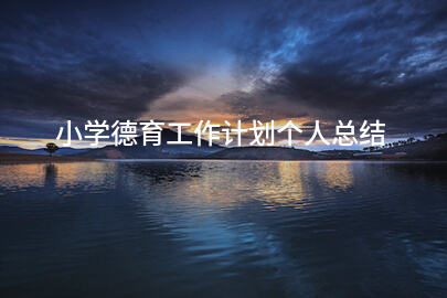 小学德育工作计划个人总结