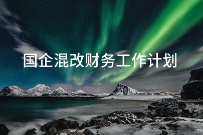 国企混改财务工作计划