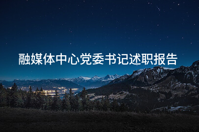 融媒体中心党委书记述职报告