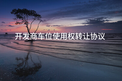 开发商车位使用权转让协议