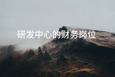 研发中心的财务岗位