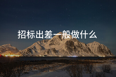 招标出差一般做什么