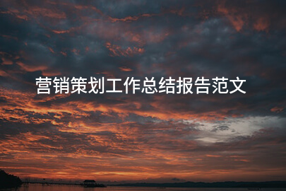 营销策划工作总结报告范文