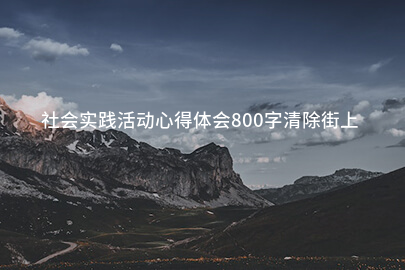 社会实践活动心得体会800字清除街上积雪初中
