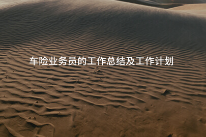 车险业务员的工作总结及工作计划
