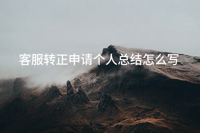 客服转正申请个人总结怎么写