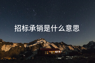 招标承销是什么意思