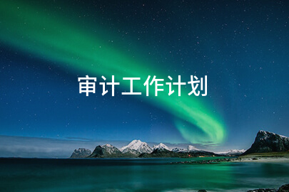 审计工作计划