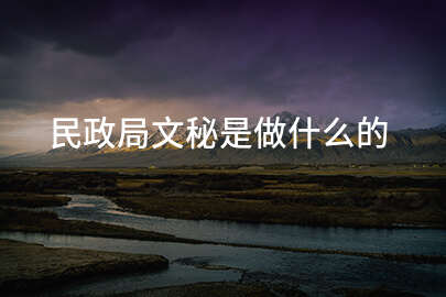 民政局文秘是做什么的