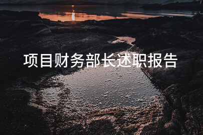 项目财务部长述职报告