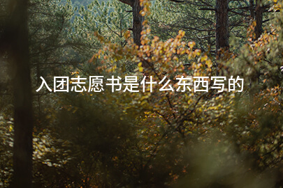 入团志愿书是什么东西写的
