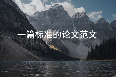 一篇标准的论文范文