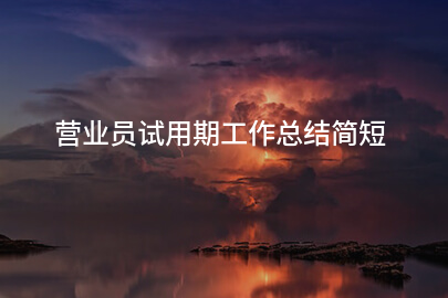 营业员试用期工作总结简短
