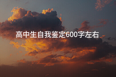 高中生自我鉴定600字左右