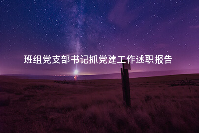 班组党支部书记抓党建工作述职报告