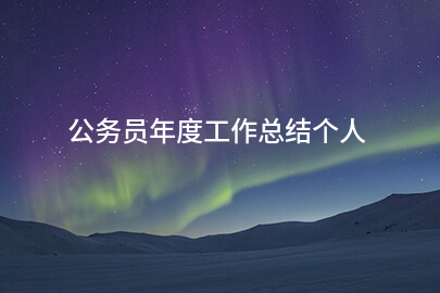 公务员年度工作总结个人