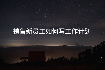 销售新员工如何写工作计划