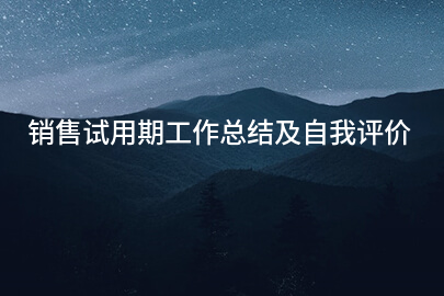 销售试用期工作总结及自我评价