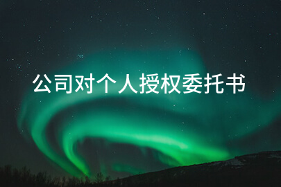公司对个人授权委托书