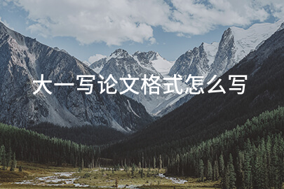 大一写论文格式怎么写