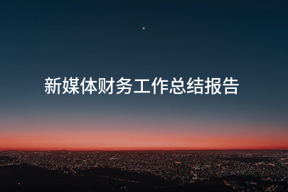 新媒体财务工作总结报告