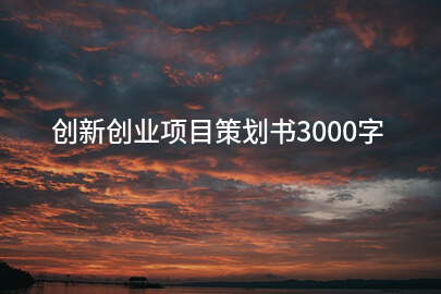 创新创业项目策划书3000字