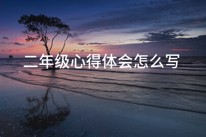 二年级心得体会怎么写