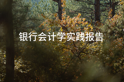 银行会计学实践报告