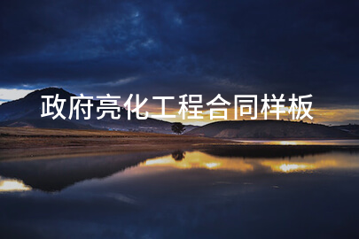 政府亮化工程合同样板