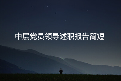 中层党员领导述职报告简短