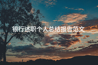 银行述职个人总结报告范文