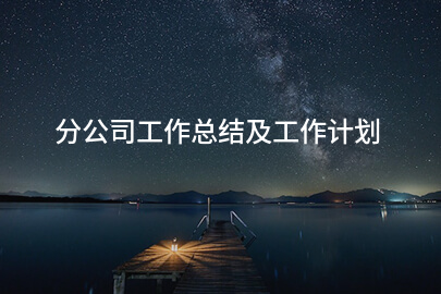 分公司工作总结及工作计划