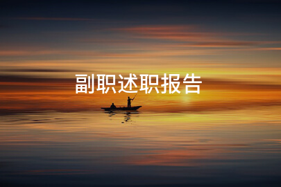 副职述职报告