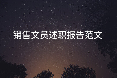 销售文员述职报告范文
