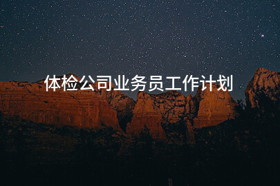 体检公司业务员工作计划