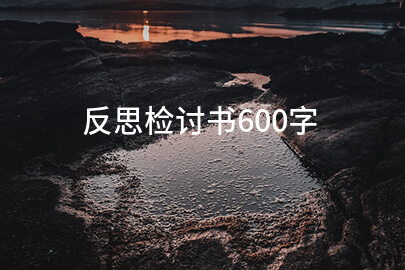 反思检讨书600字