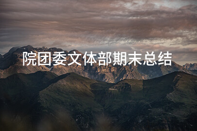 院团委文体部期末总结