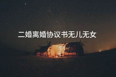 二婚离婚协议书无儿无女