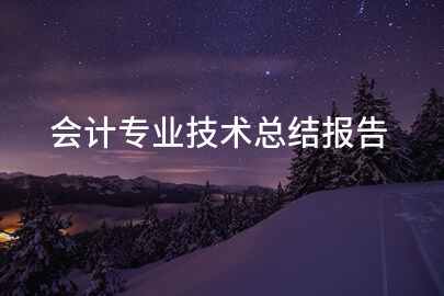 会计专业技术总结报告