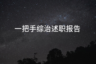 一把手综治述职报告