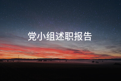 党小组述职报告