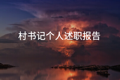 村书记个人述职报告