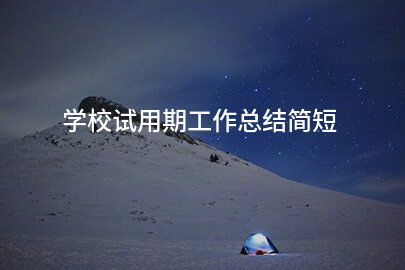 学校试用期工作总结简短