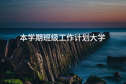 本学期班级工作计划大学