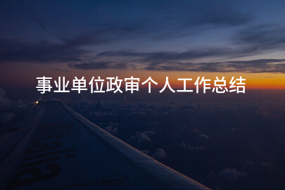 事业单位政审个人工作总结