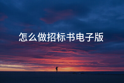 怎么做招标书电子版