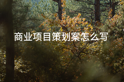 商业项目策划案怎么写