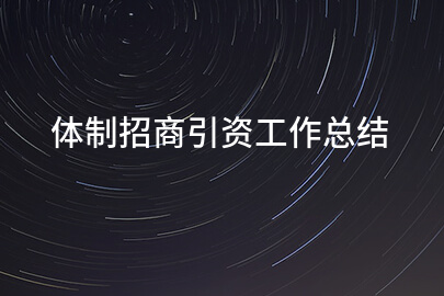 体制招商引资工作总结